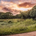 things to do in medicine park