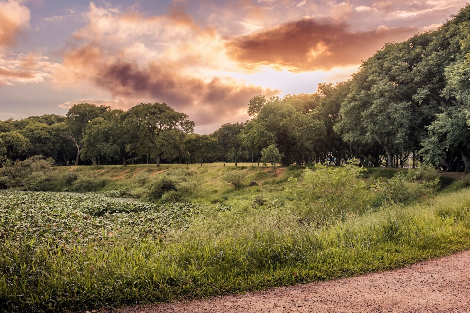 things to do in medicine park