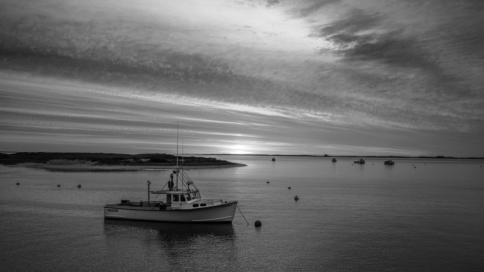 Discover local art at the Cape Cod Art Museum.