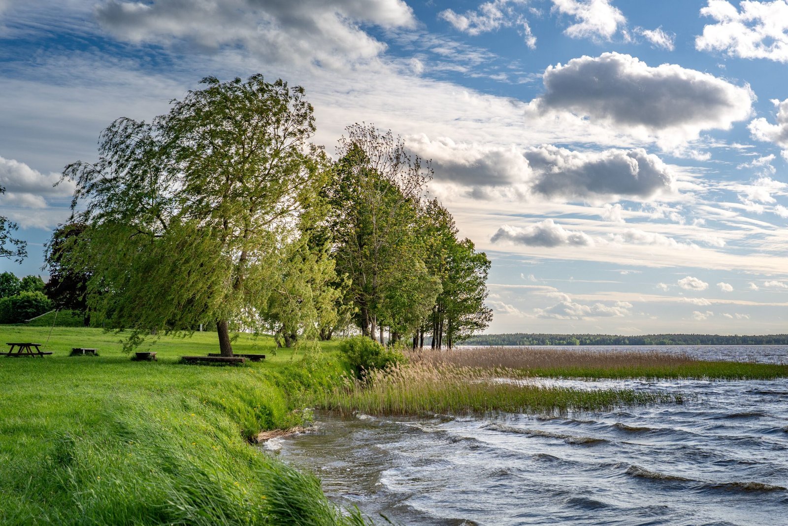 Enjoy a picnic at the picturesque Bass Lake County Park.