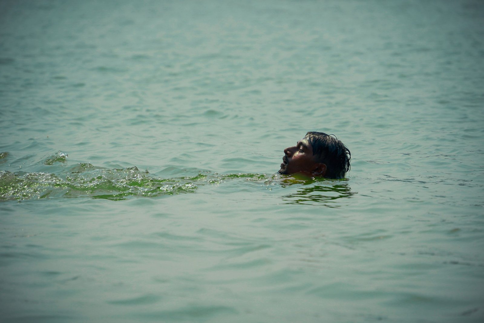 Take a refreshing dip in the Barker Reservoir swimming area.