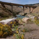 things to do in cody wyoming