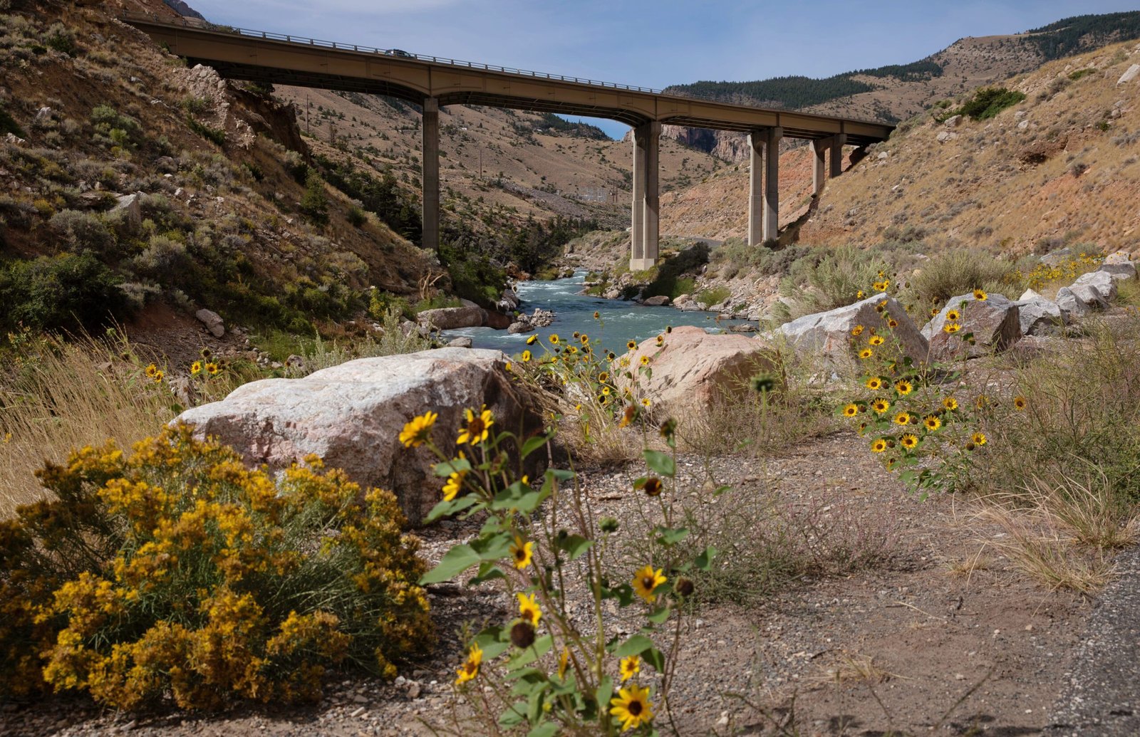 things to do in cody wyoming