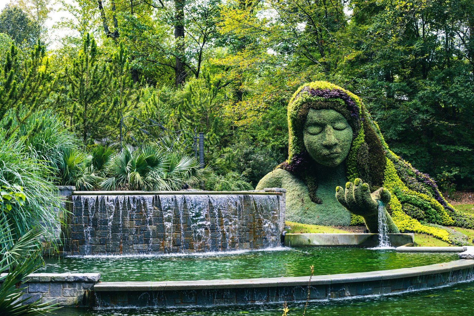 Walk through the Atlanta Botanical Garden on the first Saturday of the month for free admission.