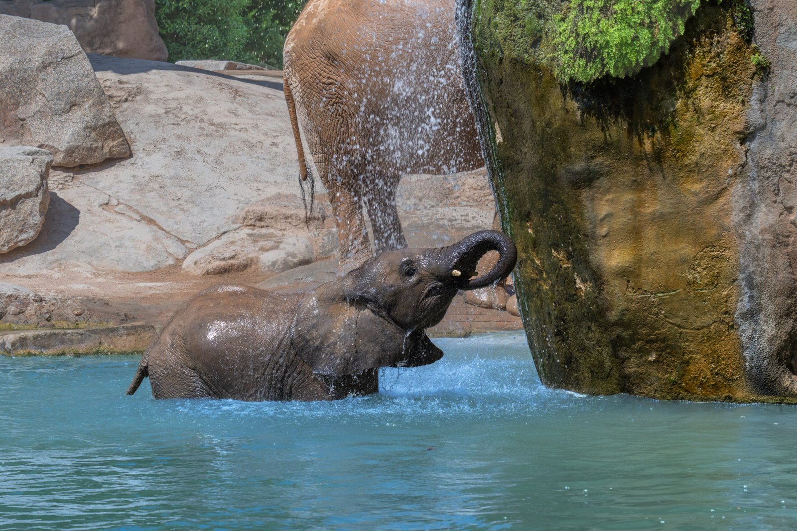 Visit the Topeka Zoo & Conservation Center for family-friendly fun.