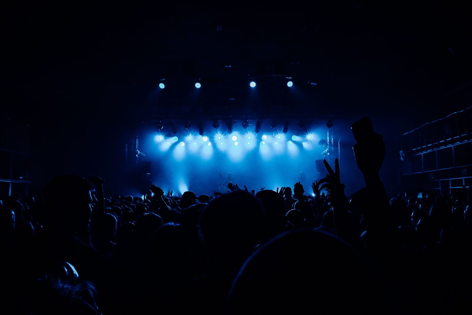Experience live music at the Music Hall of Williamsburg
