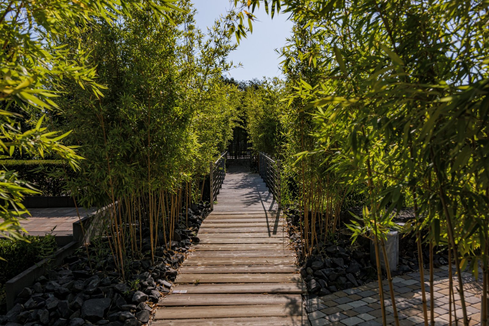 Visit the Tysons Botanical Garden for a tranquil escape.