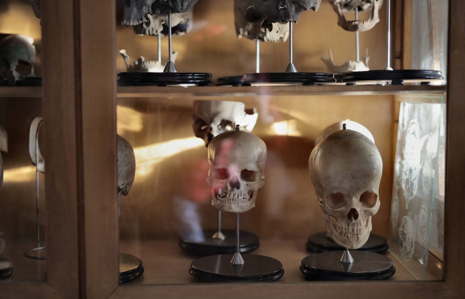 Discover the unique exhibits at the Independence and Truman Historical Society Museum.
