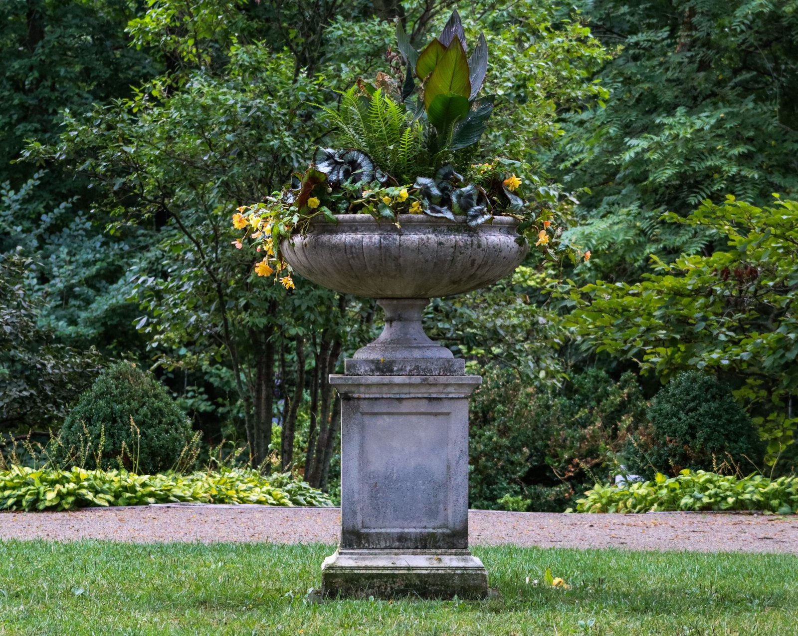 Explore the beautiful gardens at Dumbarton Oaks, featuring stunning landscapes and art collections.