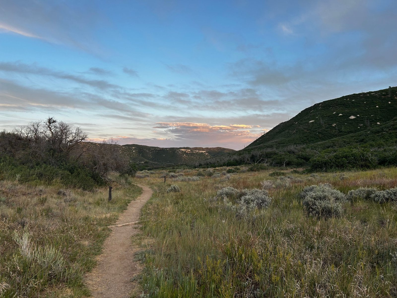 Take a hike on the scenic trails at the Santa Rosa Plateau Ecological Reserve.