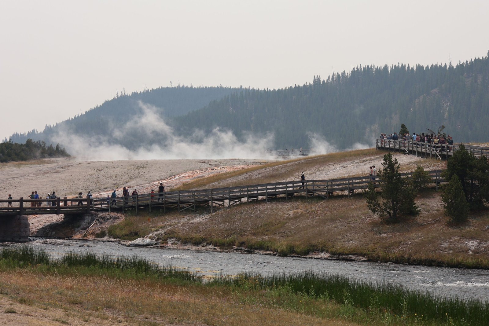 Visit Yellowstone National Park’s East Entrance for stunning natural wonders.