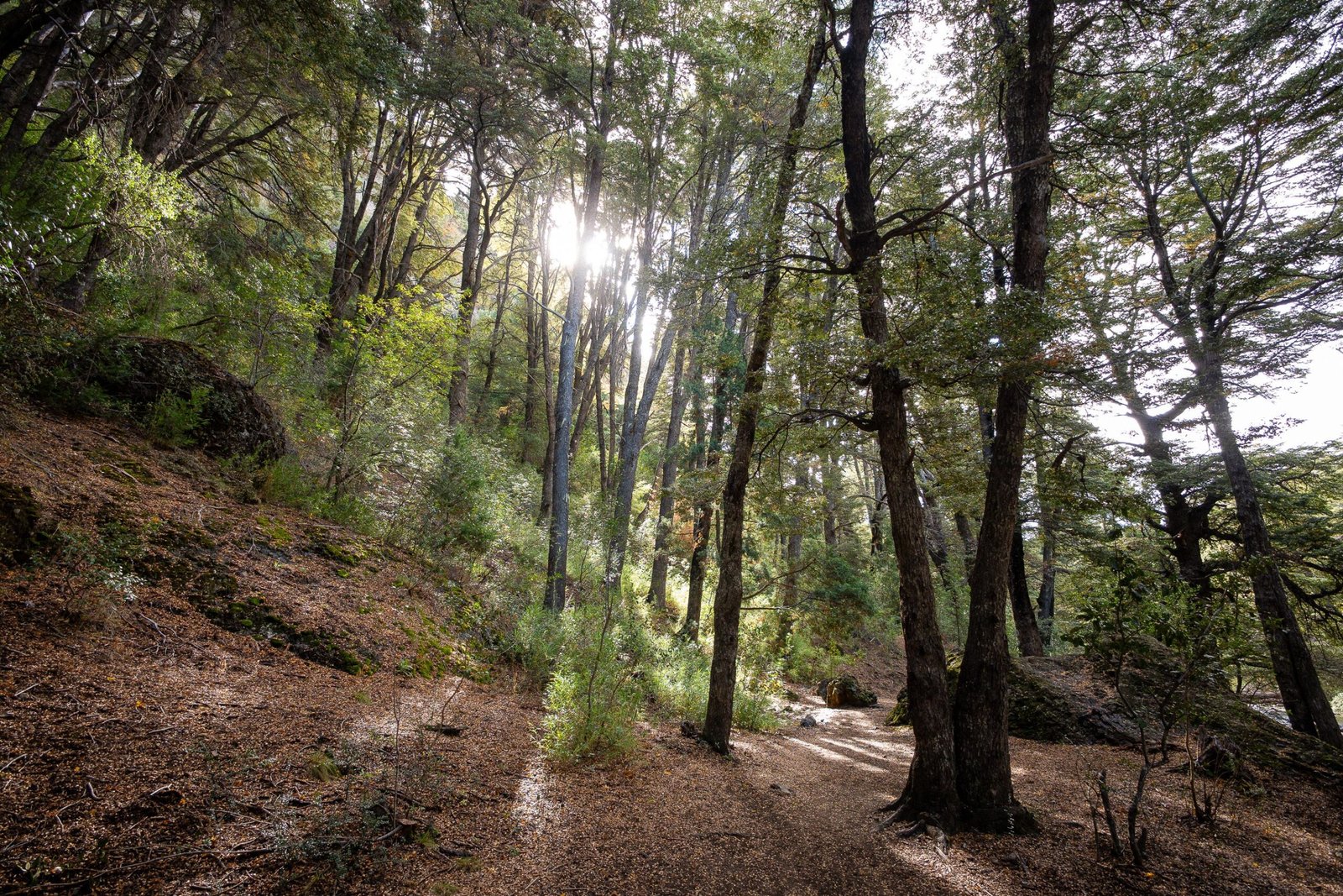 Visit the Wells Reserve at Laudholm for nature trails and educational programs.