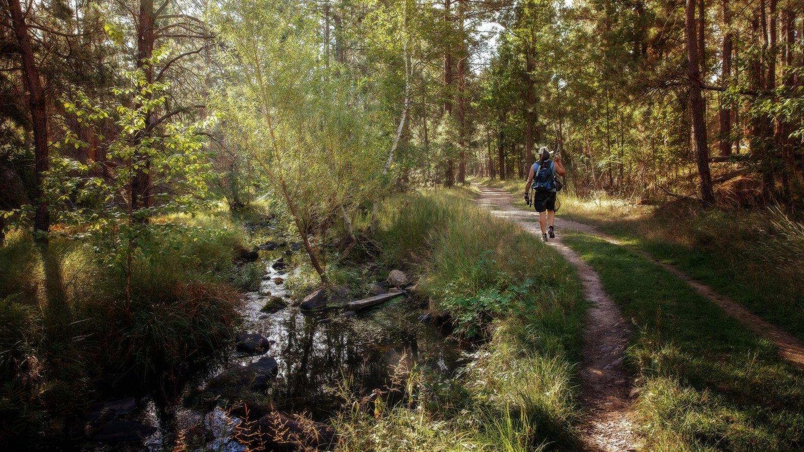 Take a scenic hike on the nearby McCarty Hill State Forest trails.