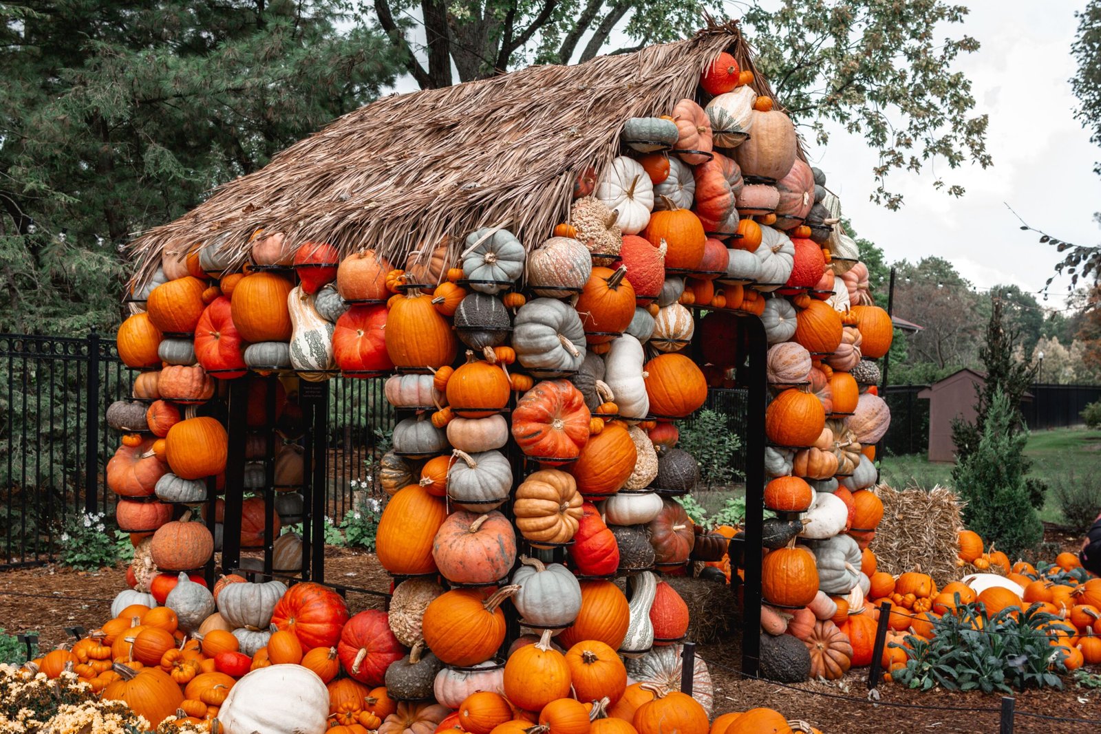 Attend the Fall Festival at Hartwood Acres Park