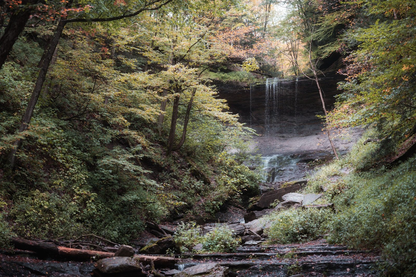 Experience the beauty of Conkle's Hollow Nature Preserve