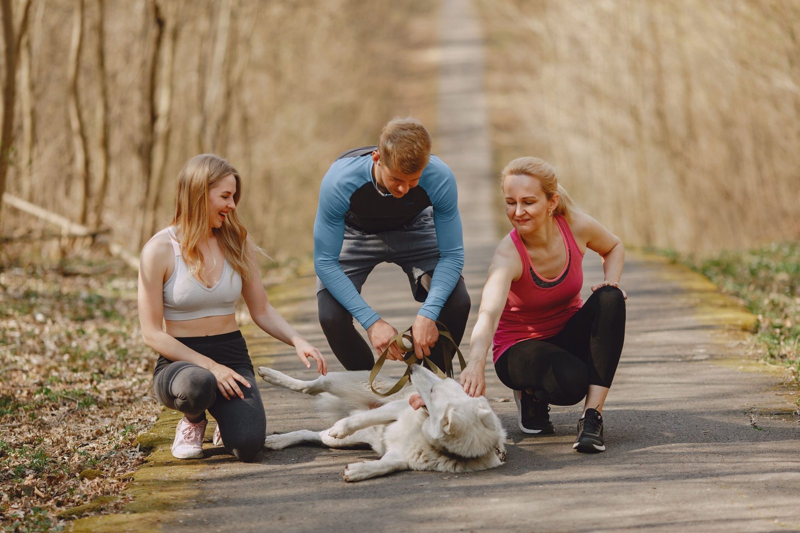 Enjoy a day of outdoor activities at Dogwood Park.