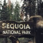 things to do in sonora ca