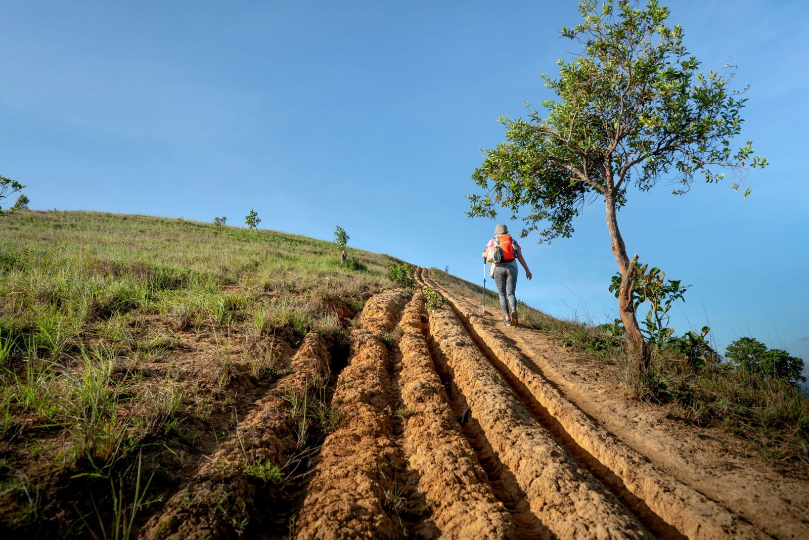 Take a scenic hike at the Aguadilla Treasures Route Trail