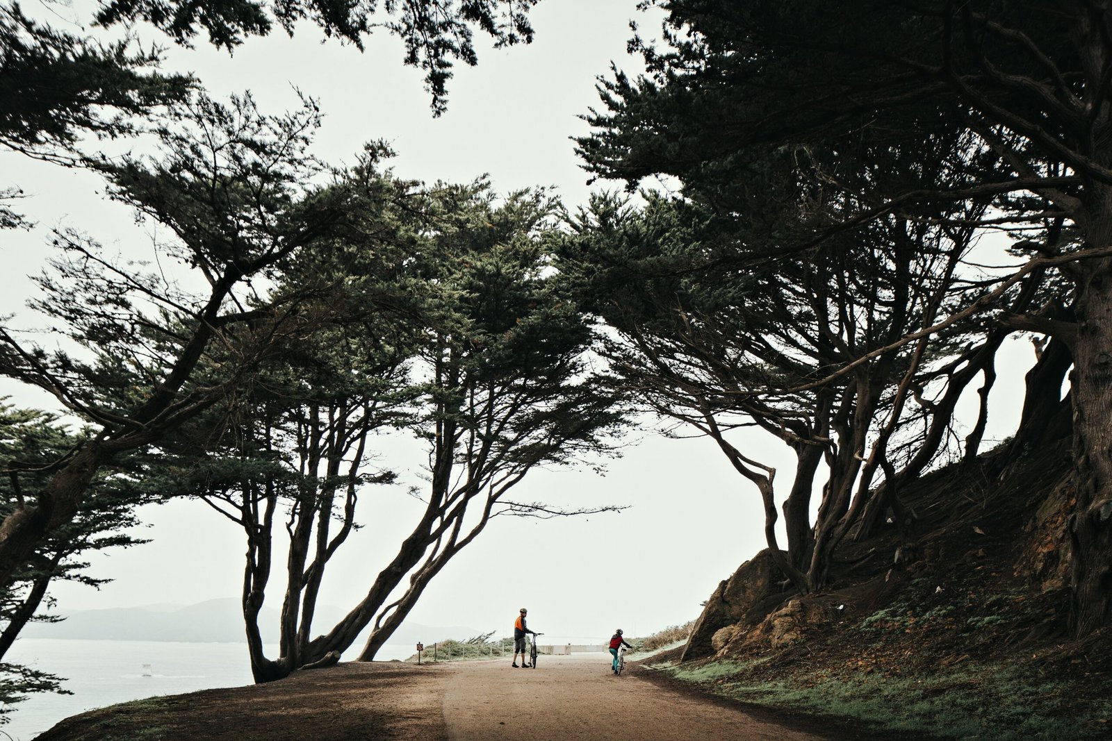Explore the scenic trails at Red Grade Road for hiking and biking