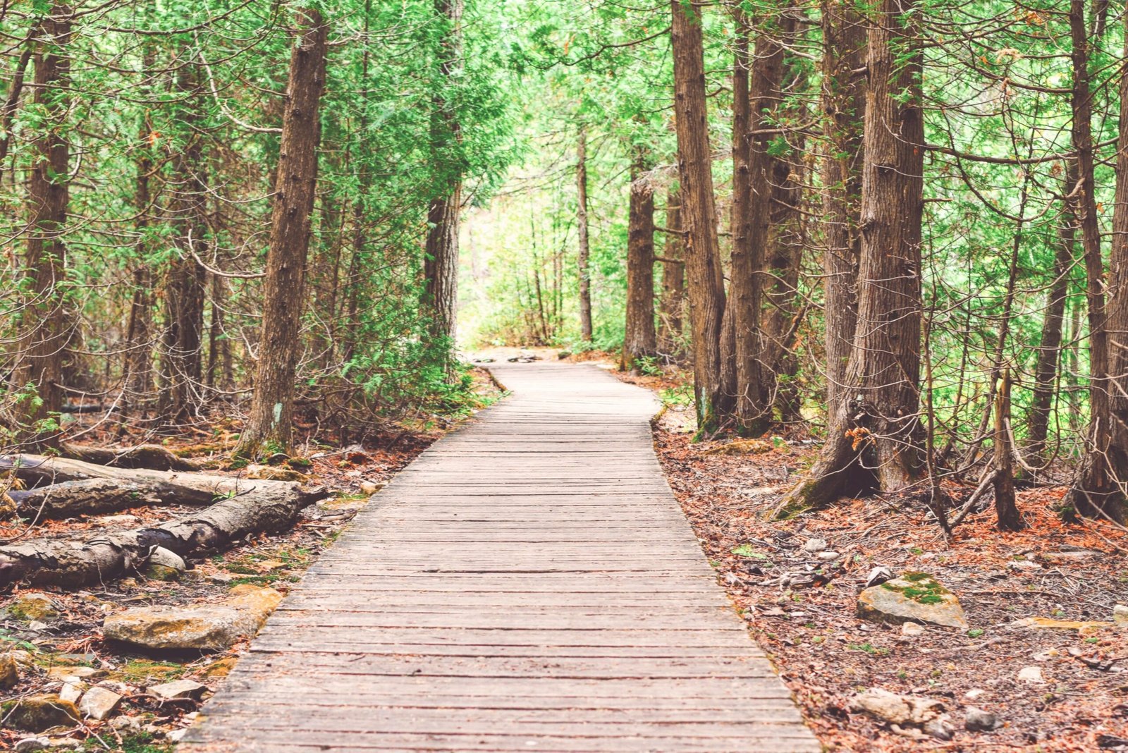 Wander through the tranquil trails at Sequim Bay State Park