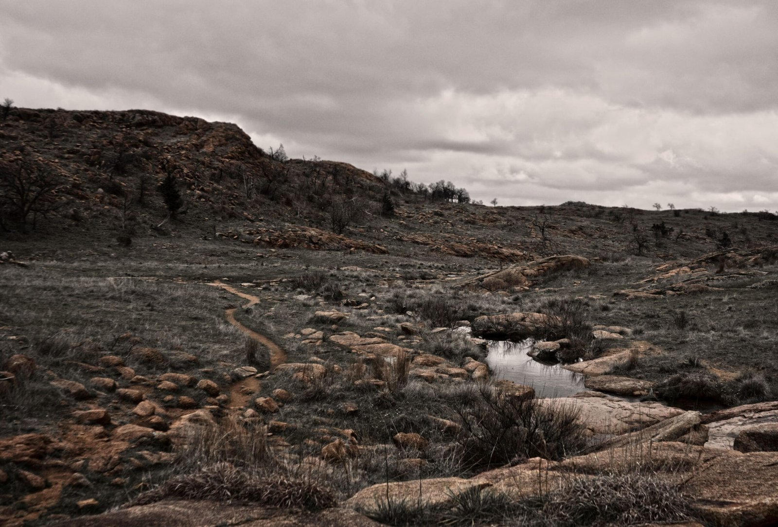 Take a guided wildlife tour in the Wichita Mountains