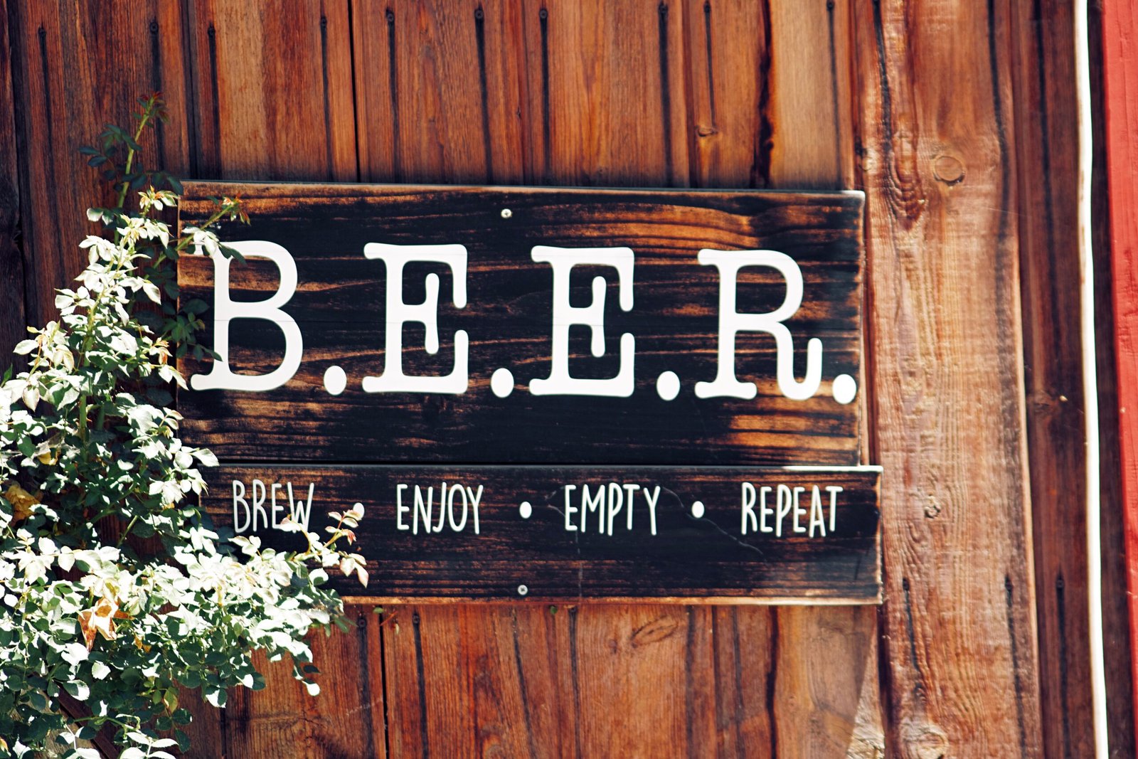 Enjoy local brews at the Big Elm Brewing