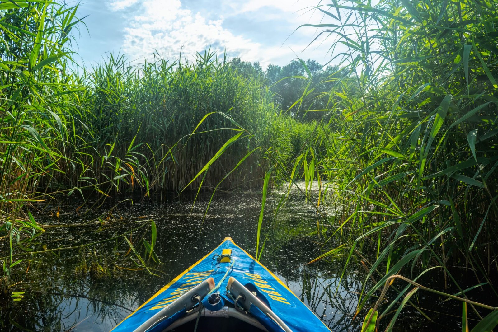 Go kayaking in the calm waters of the Intracoastal Waterway.