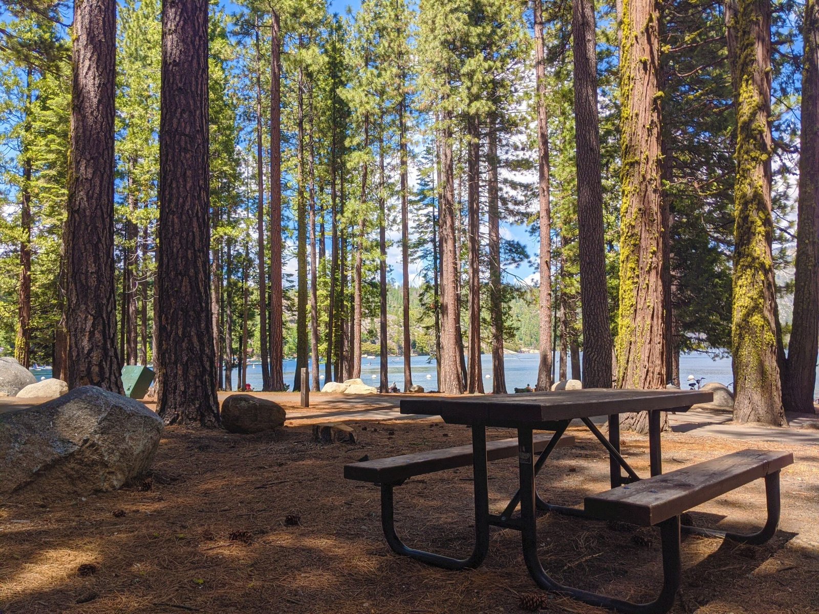 Discover the beauty of the Sierra Nevada at the nearby Pinecrest Lake.