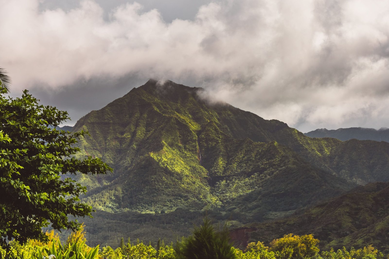 Stroll through the enchanting Iao Valley State Monument and explore its lush landscapes.