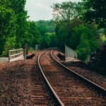 things to do in danbury ct