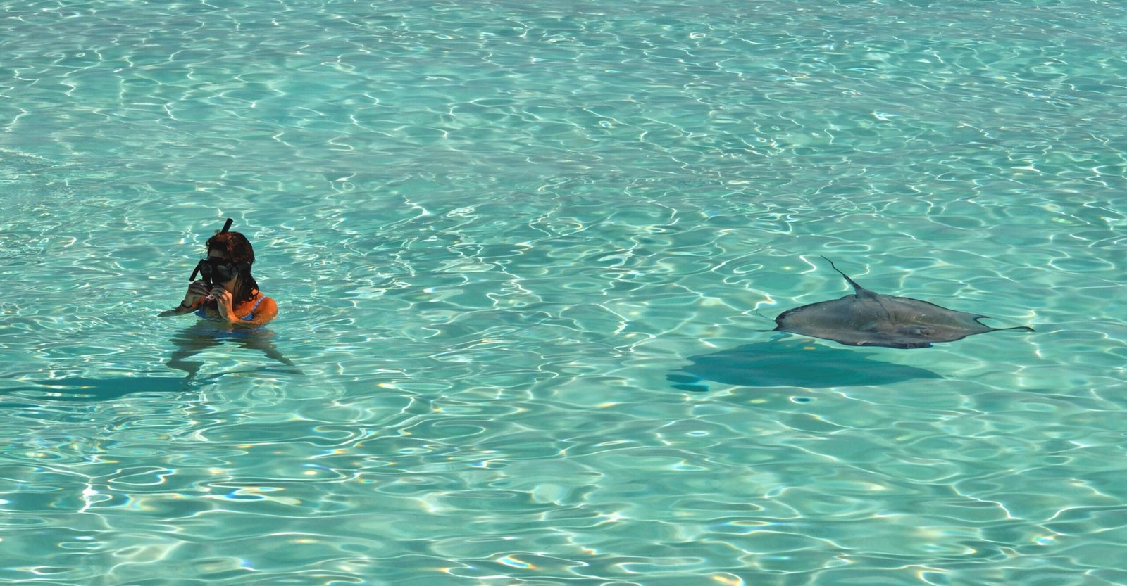 Discover the vibrant marine life while snorkeling at Fajardo's Seven Seas Beach.