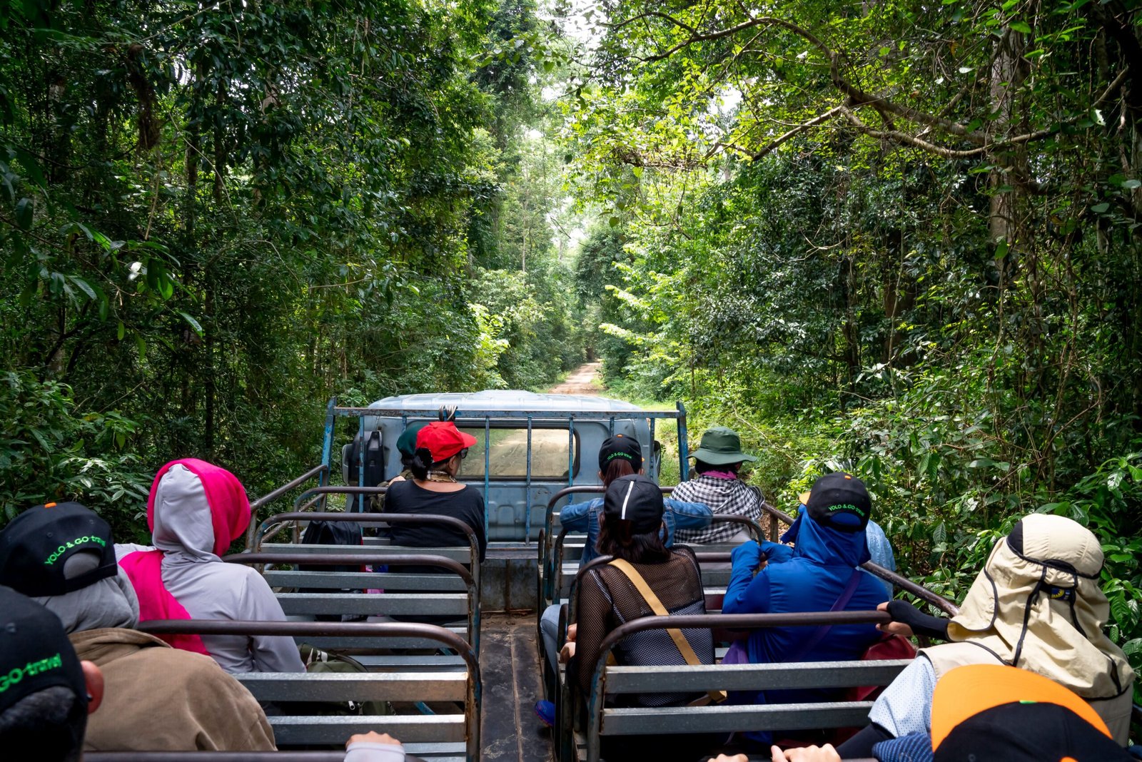Take a jungle tour to see local wildlife.