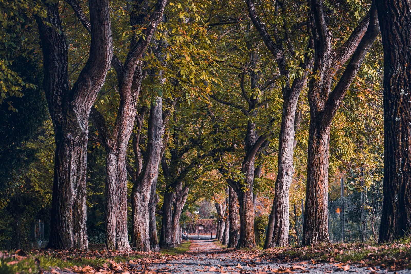Stroll through the enchanting **Appleton Memorial Park**