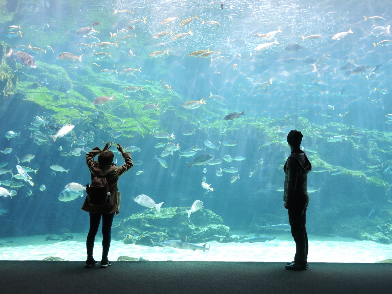 Explore the Catawba Science Center for interactive exhibits and an aquarium.