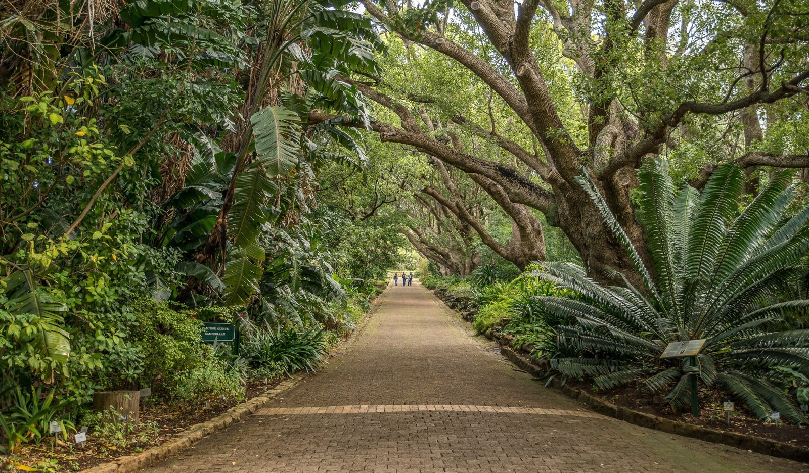 Take a stroll through the scenic Bok Tower Gardens