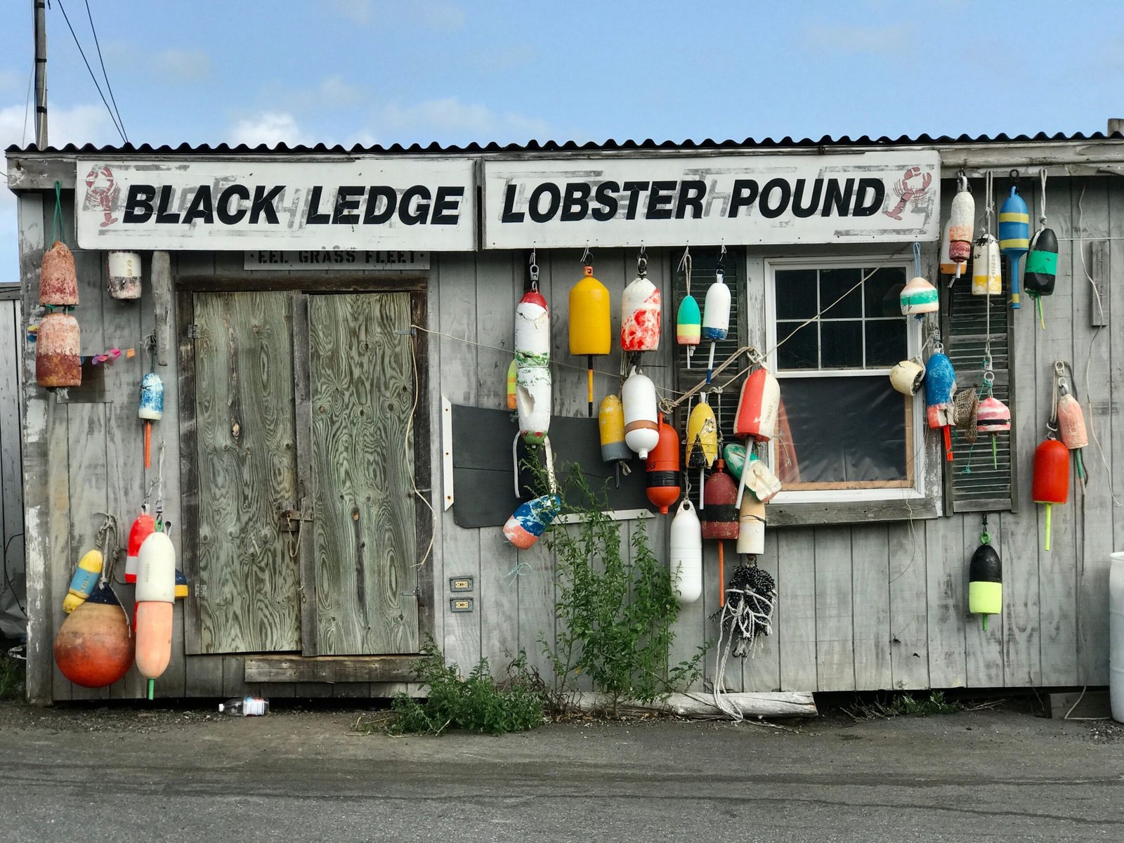 Enjoy a lobster roll at The Clam Shack