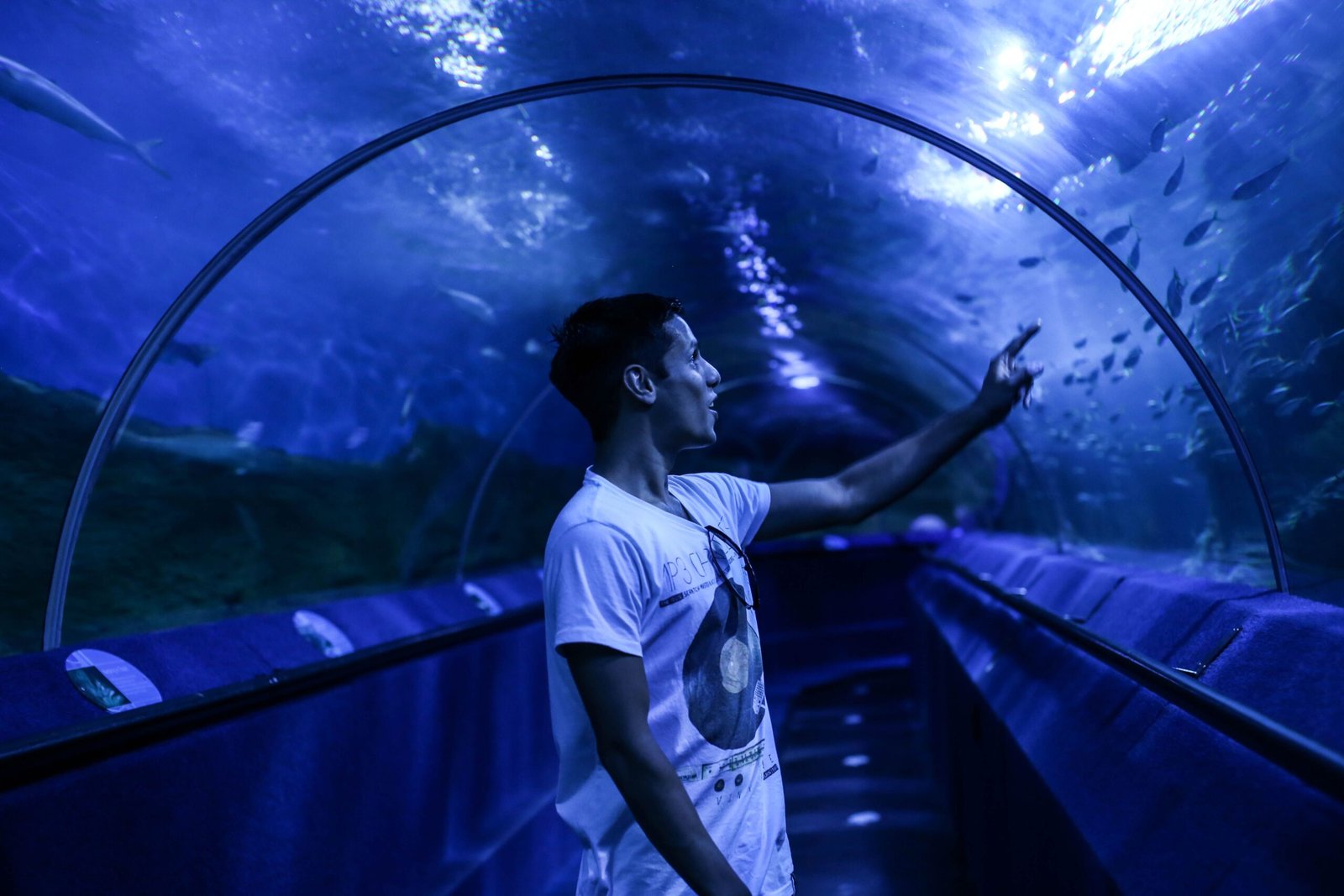 Explore the interactive exhibits at the Maui Ocean Center
