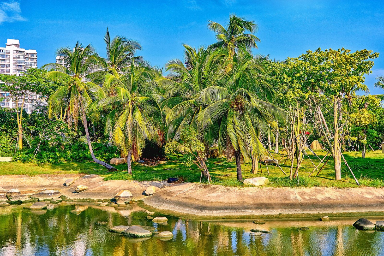 Relax in the lush greenery of Lummus Park