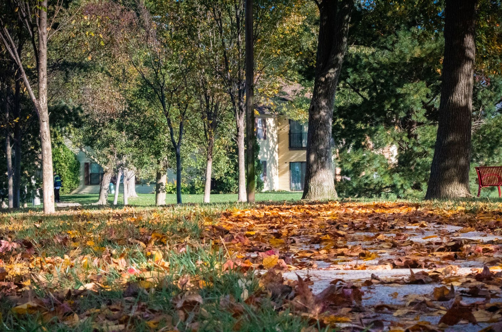 Hike through the scenic grounds of the Kennedy Park