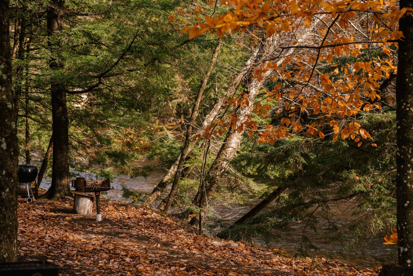 Enjoy a picnic at Mayor's Park overlooking the river