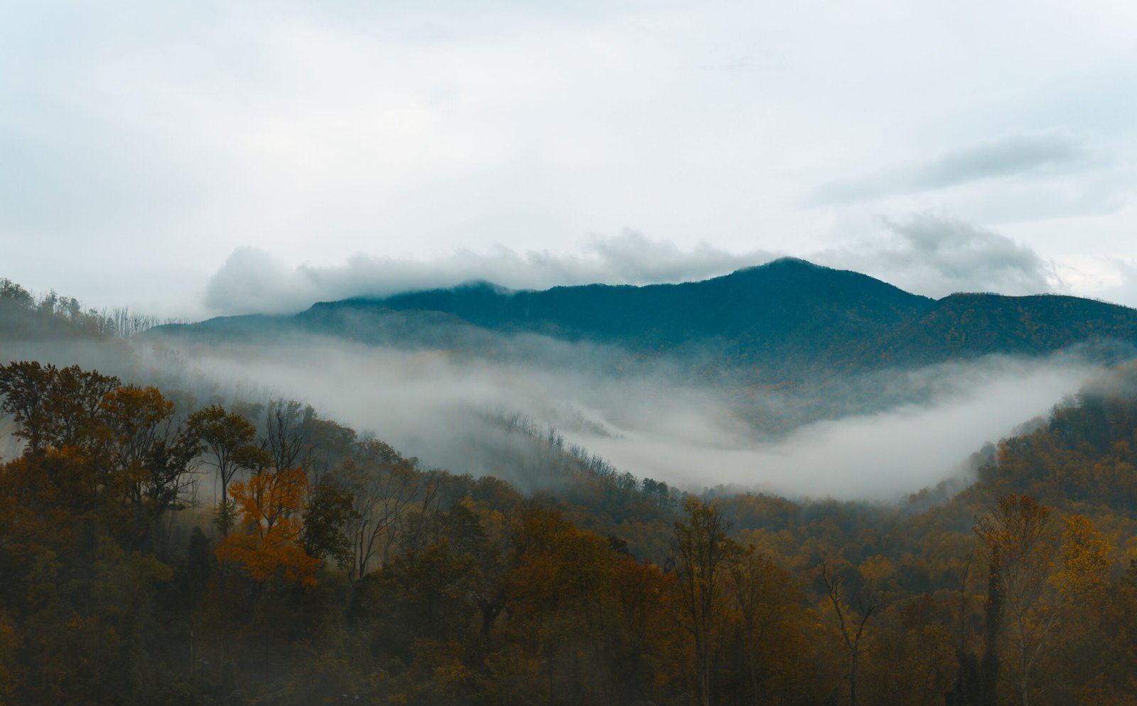 Explore the Great Smoky Mountains National Park – entry is free!