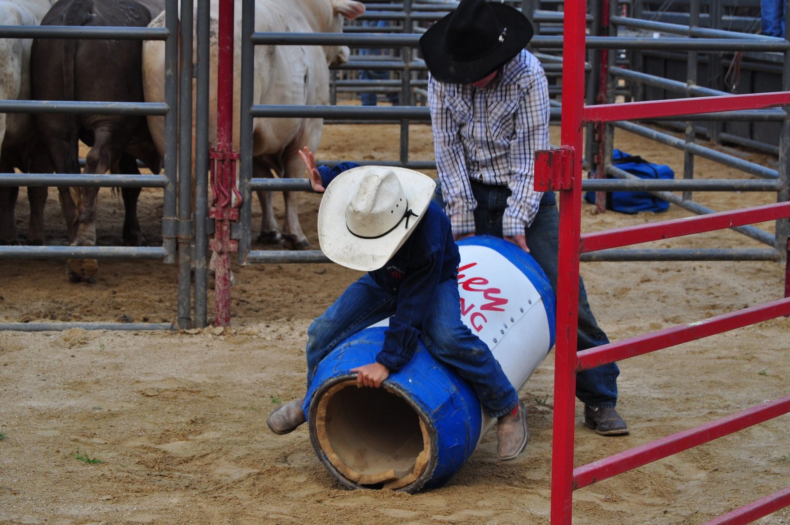 Attend a rodeo at the Gillette College Arena.