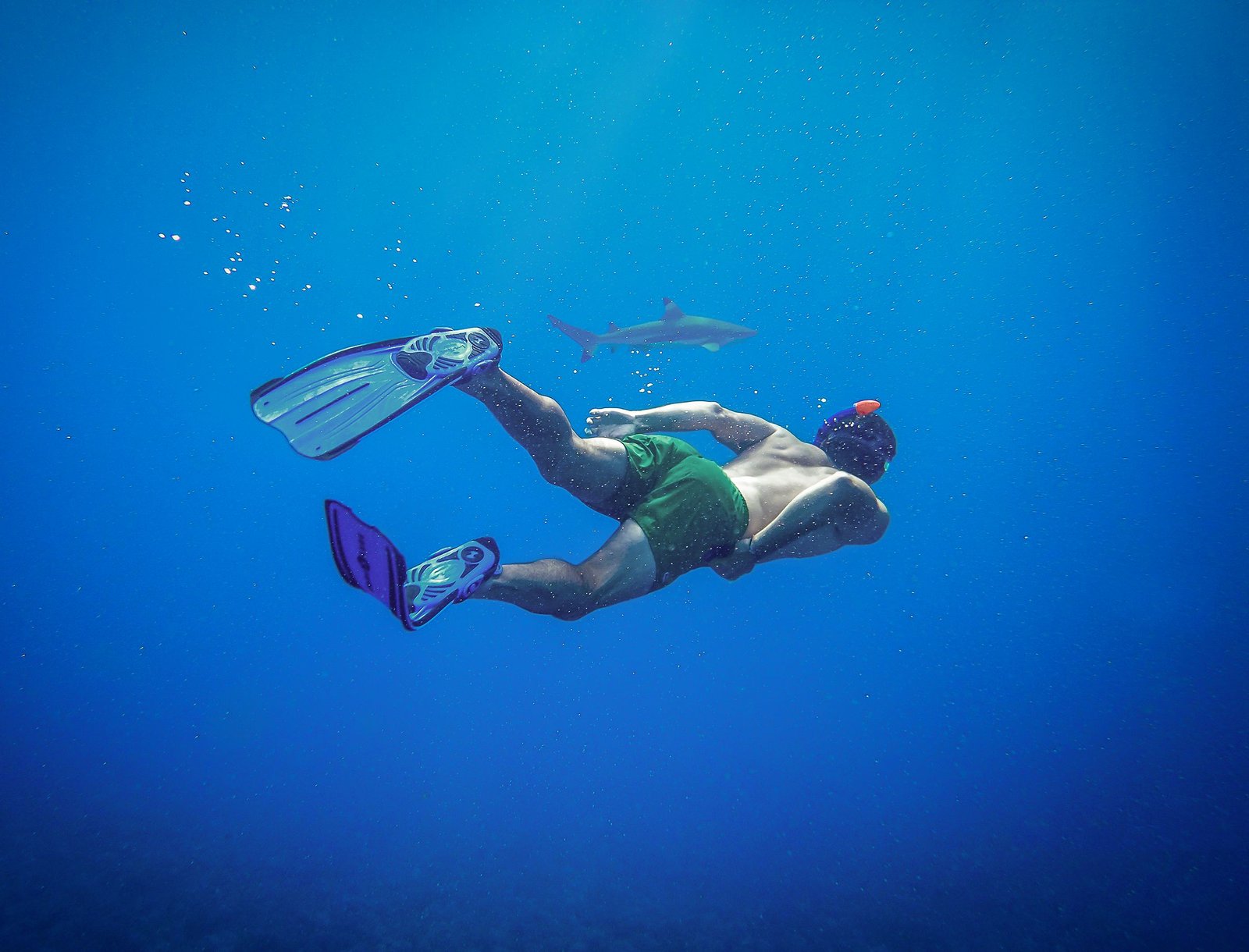 Snorkel in the vibrant coral gardens of Lagoonarium de Moorea.