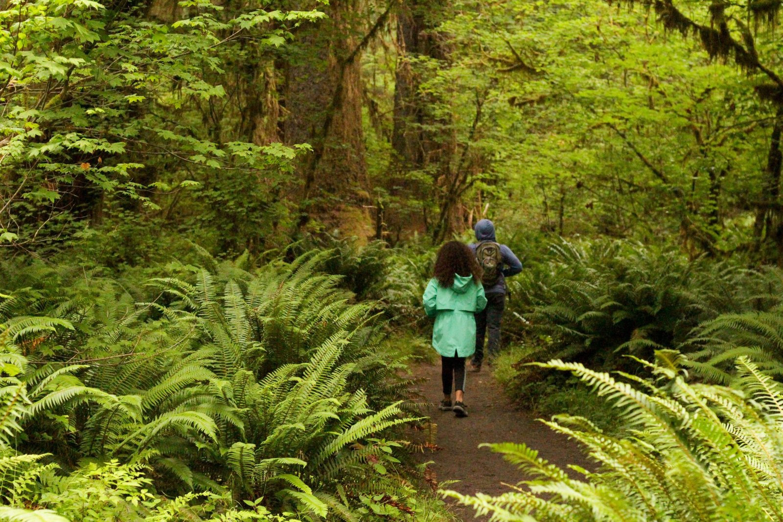 Explore the scenic trails at Point Washington State Forest.