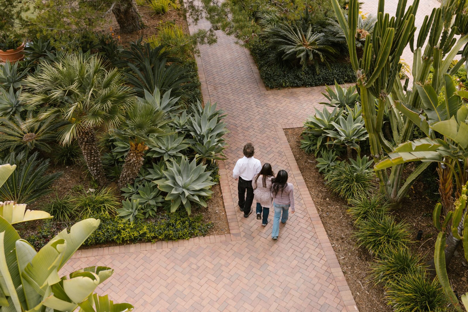 Explore the lush gardens at Bellevue, the historic home of the Callaway family.