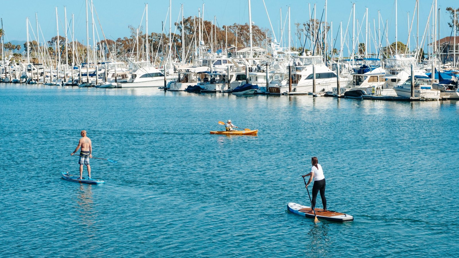 Go kayaking or paddleboarding in Bodega Bay waters.