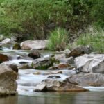 things to do in payson