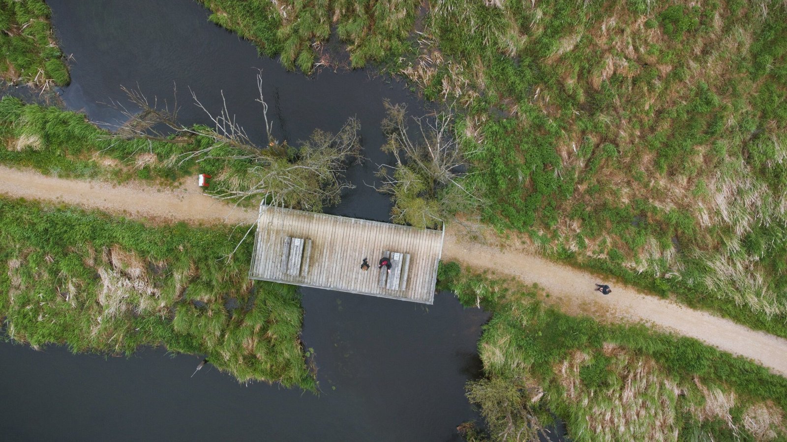 Walk the trails at the Celery Bog Nature Area for bird watching and hiking.