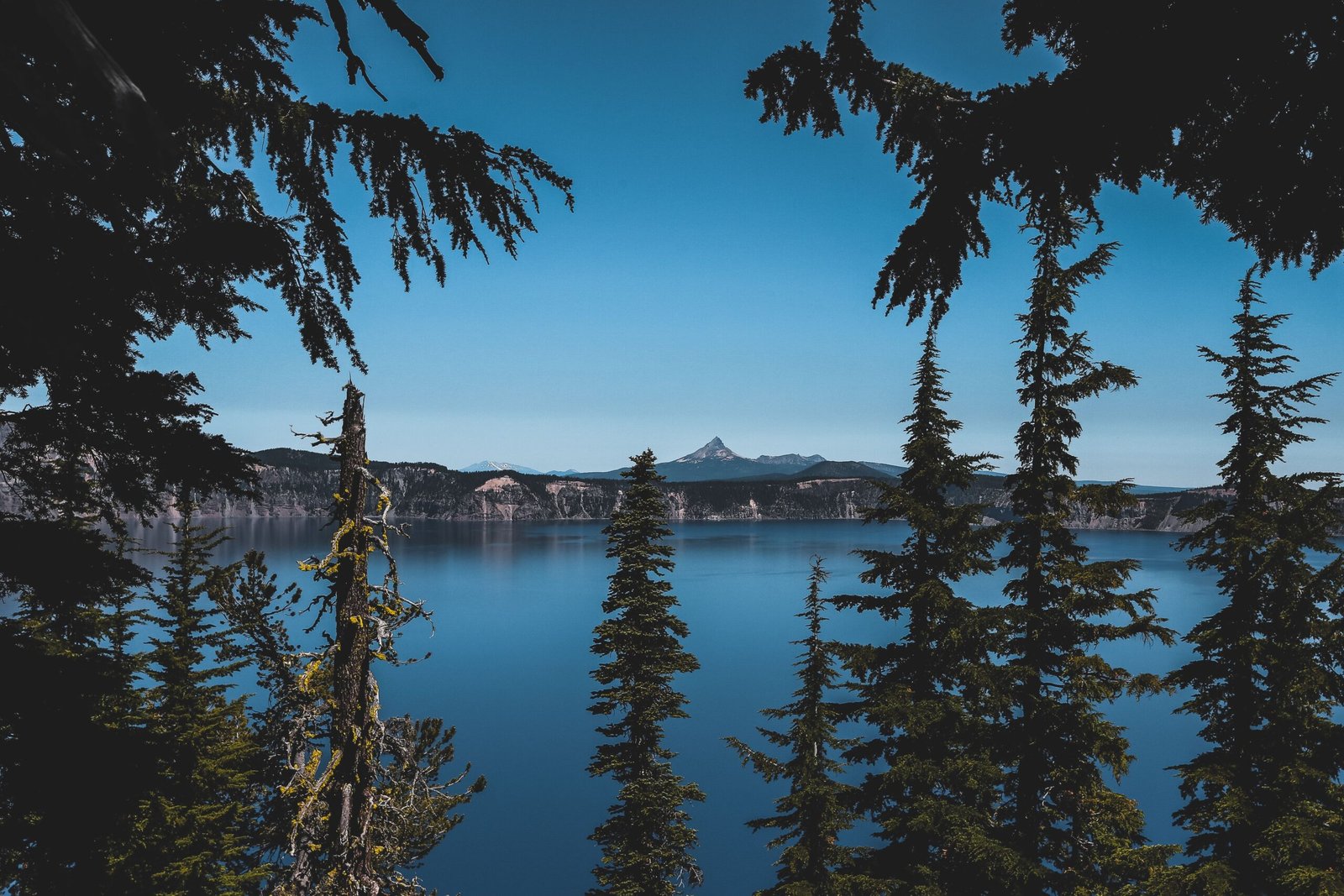 things to do in klamath falls