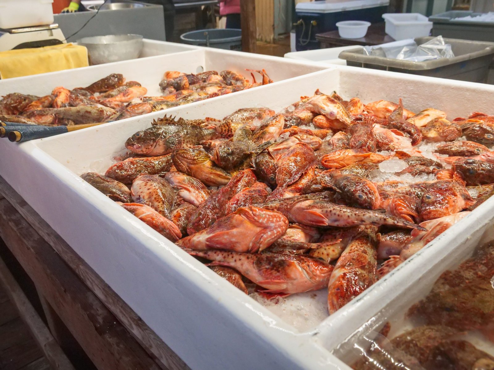 Enjoy fresh seafood at the Astoria Fish Market.